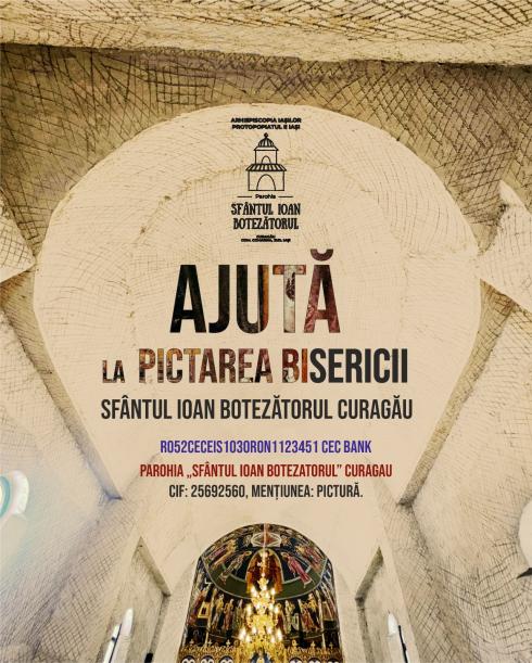 Donează pentru pictură ! Donează pentru pictură !